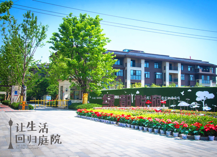 前后张望南阳50年：这样的天井，很难再有了！