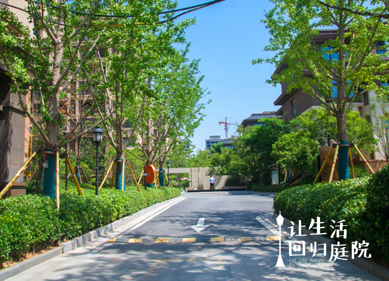 前后张望南阳50年：这样的天井，很难再有了！