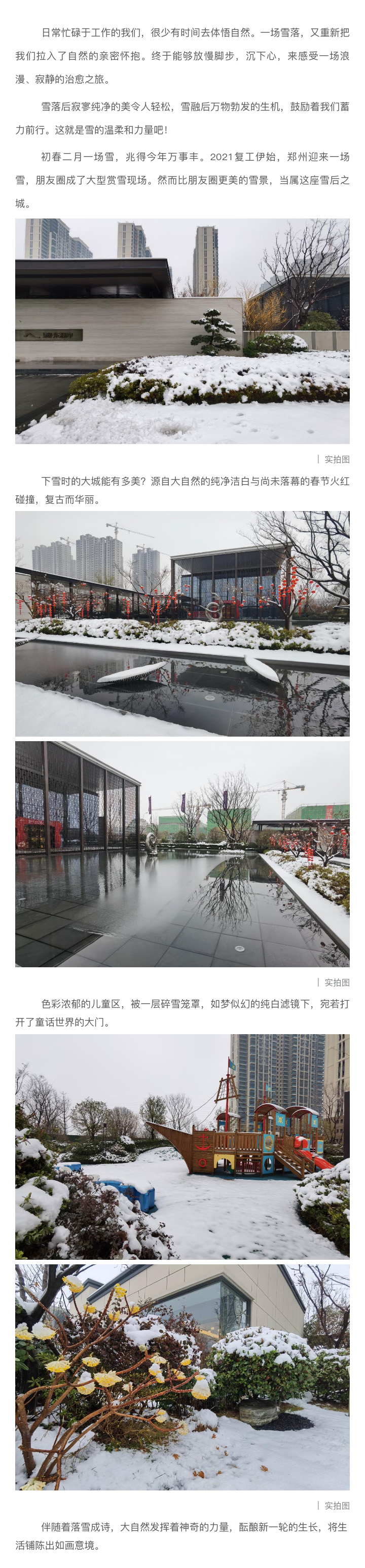 2021浪漫开年，共赏一场鹅毛大雪！