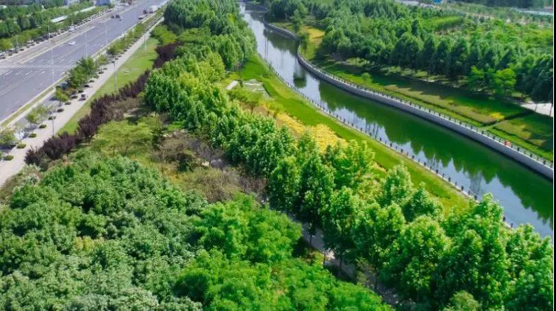 定了！“神兽”线上开学，家里有学生的必看！