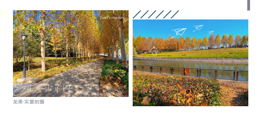 钜惠即止，捡漏经开超人气明星热盘！