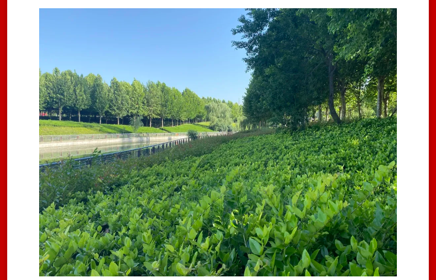 年终薅好房，这个明星红盘把“出圈”进行到底！